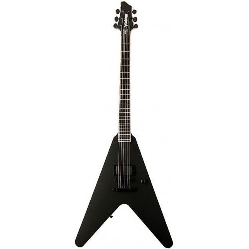 Washburn WV66GT B