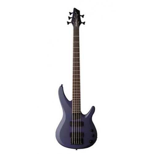 Washburn BB5 MGY