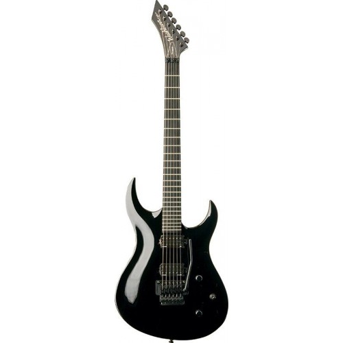 Washburn WM24VPRO BK