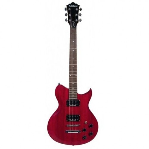 Washburn WI200VPROECK