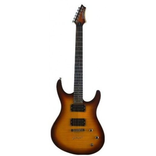 Washburn RX22F-TSB