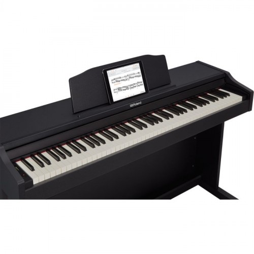 Roland RP102-BK