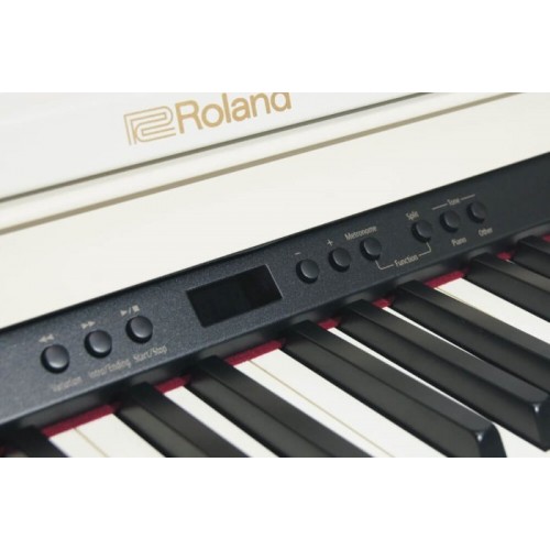 Roland RP501R-WH