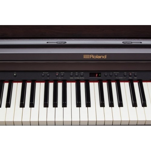 Roland RP501R-CB