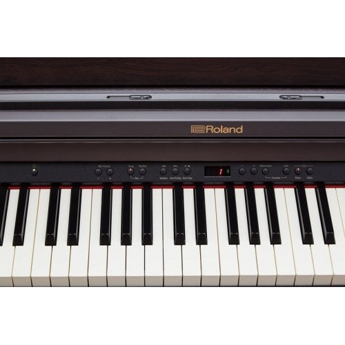 Roland RP501R-CR