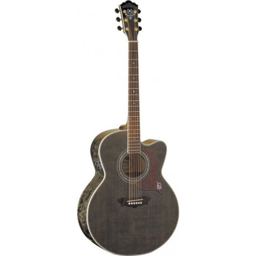 Washburn J28SCEDLTB