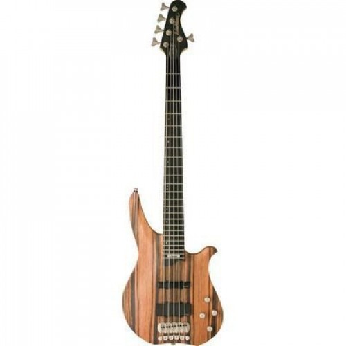 Washburn CB5 RG