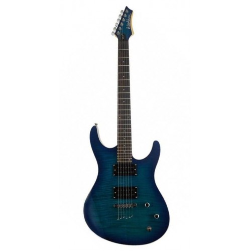 Washburn RX22F-BLB