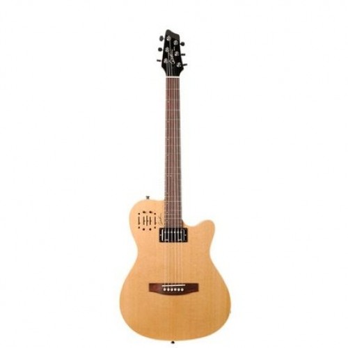 Godin 30293