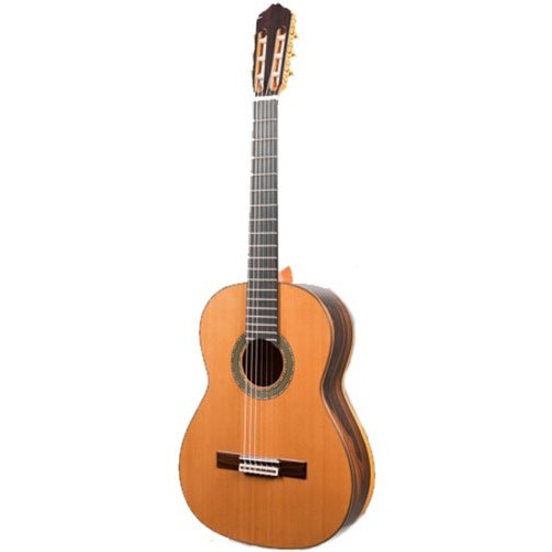 Raimundo 133 Cedar