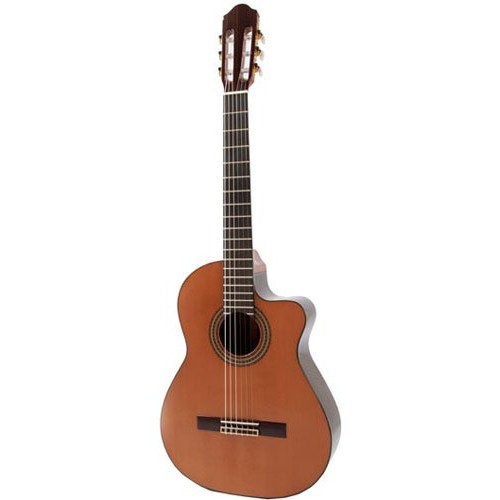 Raimundo 660MIDI Cedar