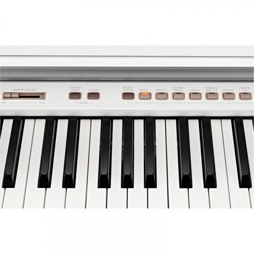 Kawai CN37W