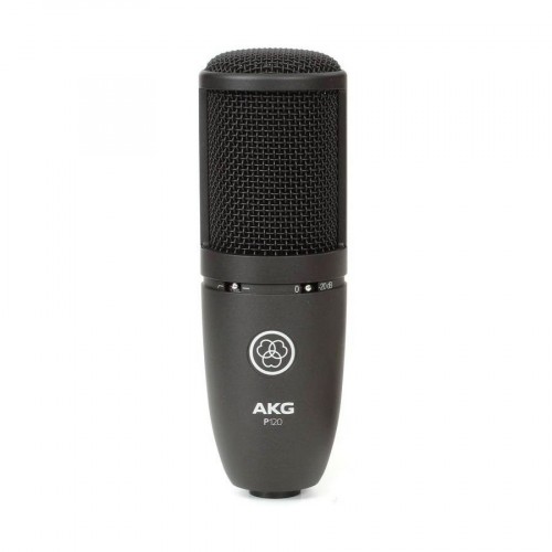 Akg P120