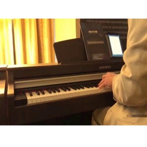 Kurzweil M230 SR