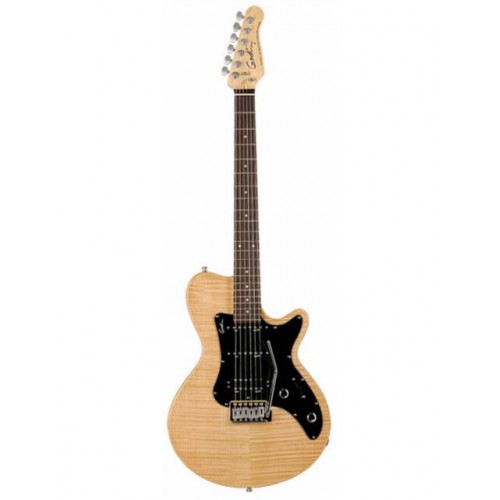 Godin 30989