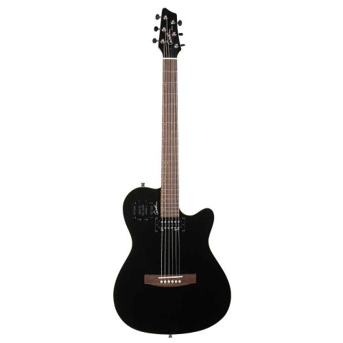 Godin 30309