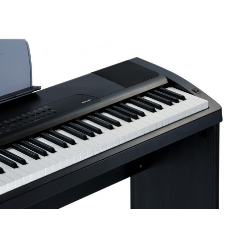 Kurzweil MPS20