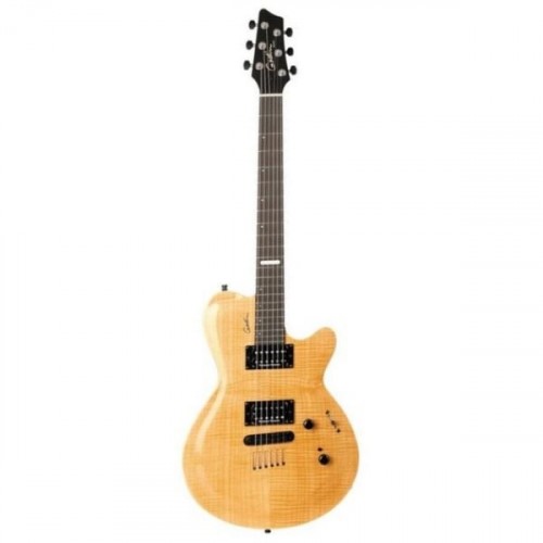 Godin 31030