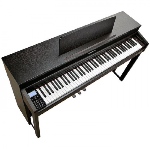 Kurzweil Andante CUP310 SR