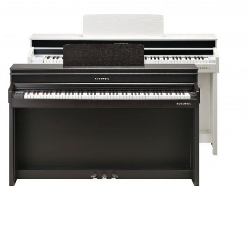 Kurzweil Andante CUP310 SR