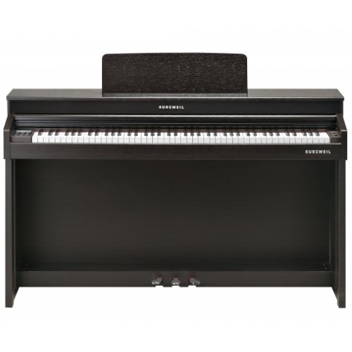 Kurzweil Andante CUP310 SR