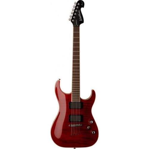 Washburn X50PROFE TR