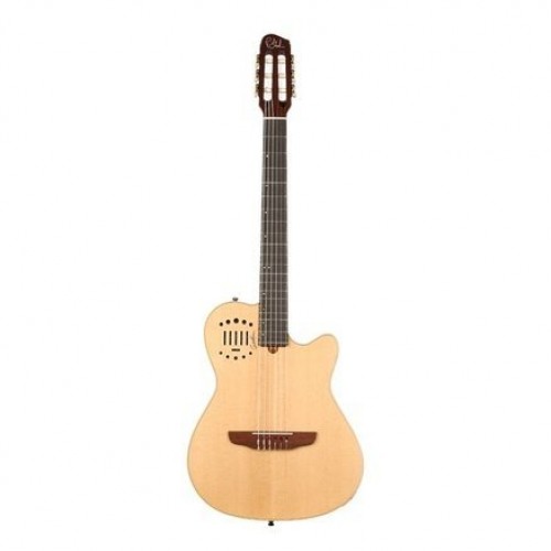 Godin Multiac Nylon Duet Ambiance Natural HG