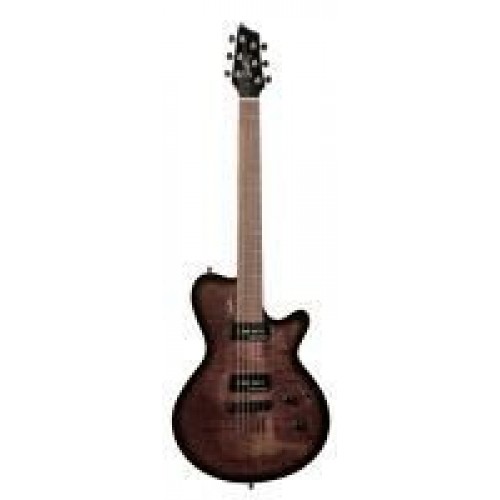 Godin 24650