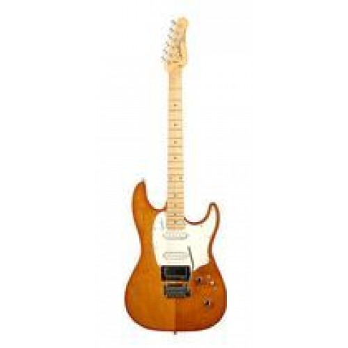 Godin 34079