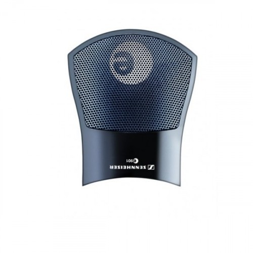 Sennheiser E901