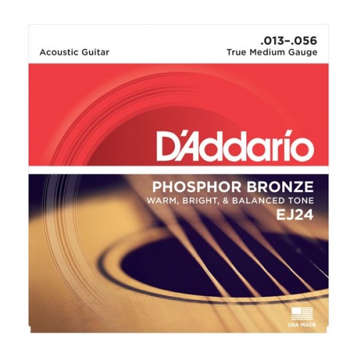 D'addario EJ / 24