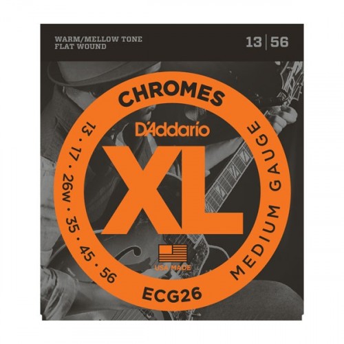 D'addario ECG / 26