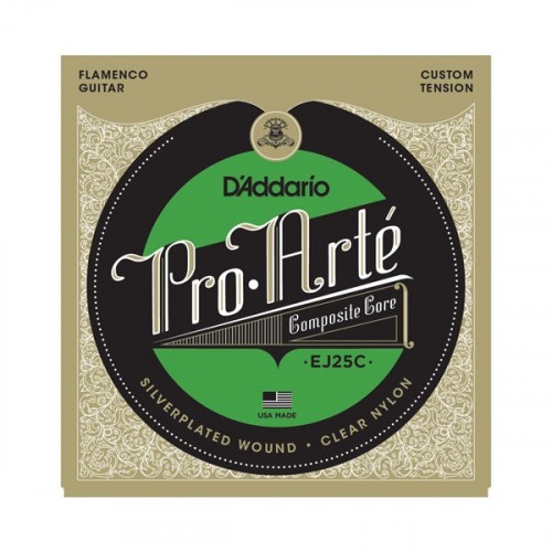 D'addario EJ25 / C