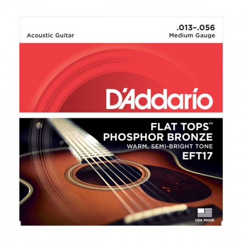 D'addario EFT / 17