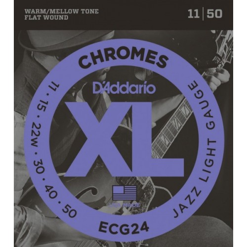 D'addario ECG / 24