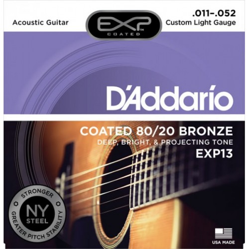 D'addario EXP / 13