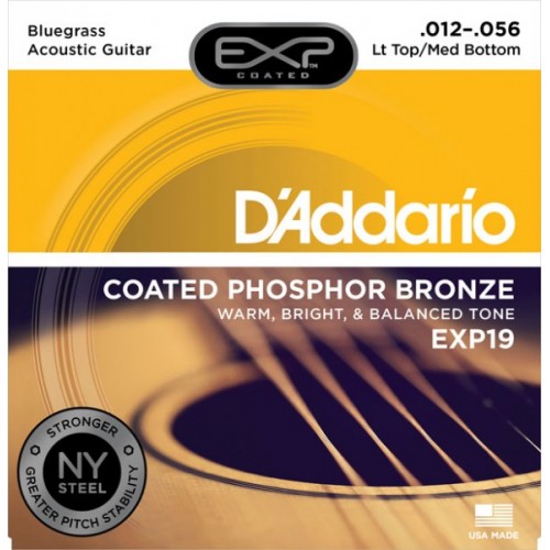 D'addario EXP / 19