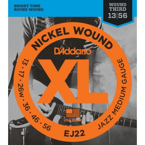 D'addario EJ22