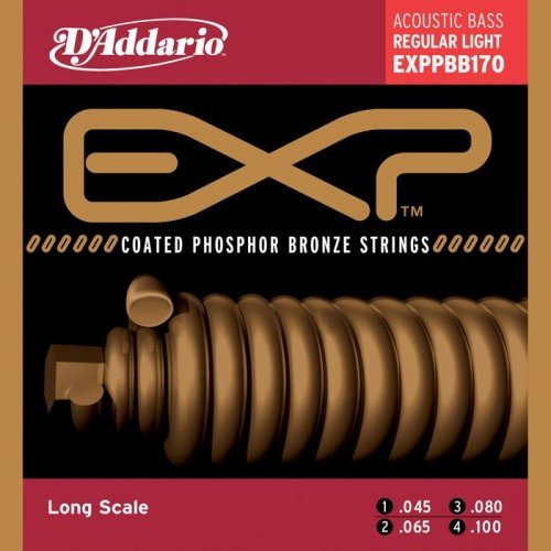 D'addario EXPPBB170