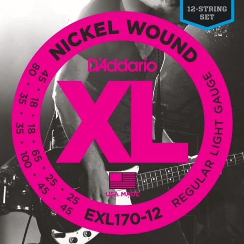 D’addario EXL170 / 12