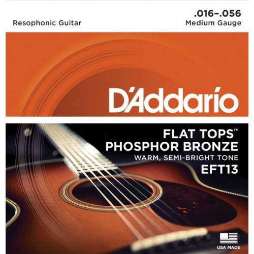 D'addario EFT / 13