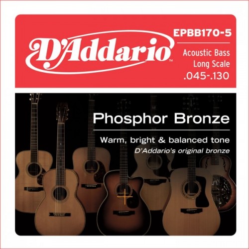 D'addario EPBB170 / 5