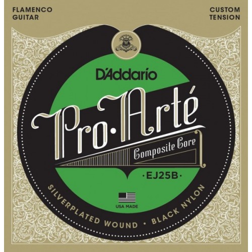 D'addario EJ25 / B