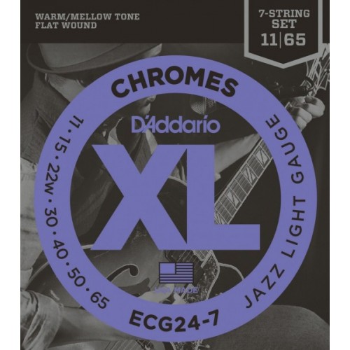 D'addario ECG / 24-7