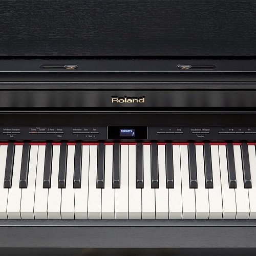 Roland HP504 CB