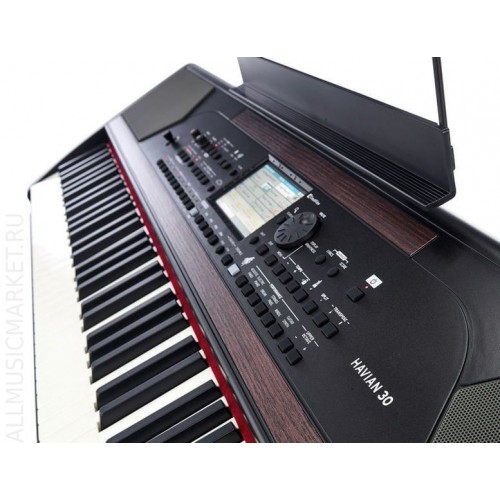 Korg HAVIAN 30