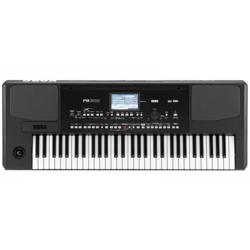 Korg Pa300