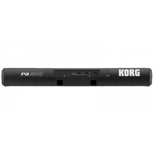 Korg Pa300