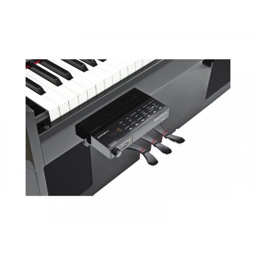 Kurzweil CUP-2A BP Andante