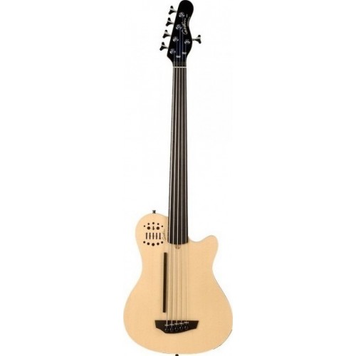 Godin 28634